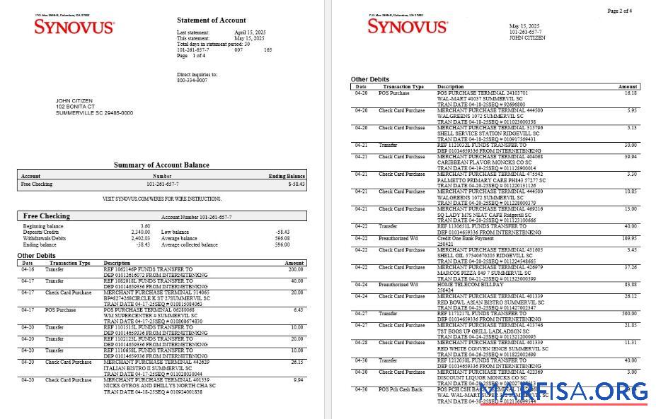 Printable USA Synovusbank statement word 4 pages real example